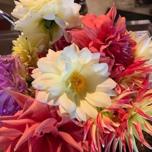 Meet your Posher, Kristal